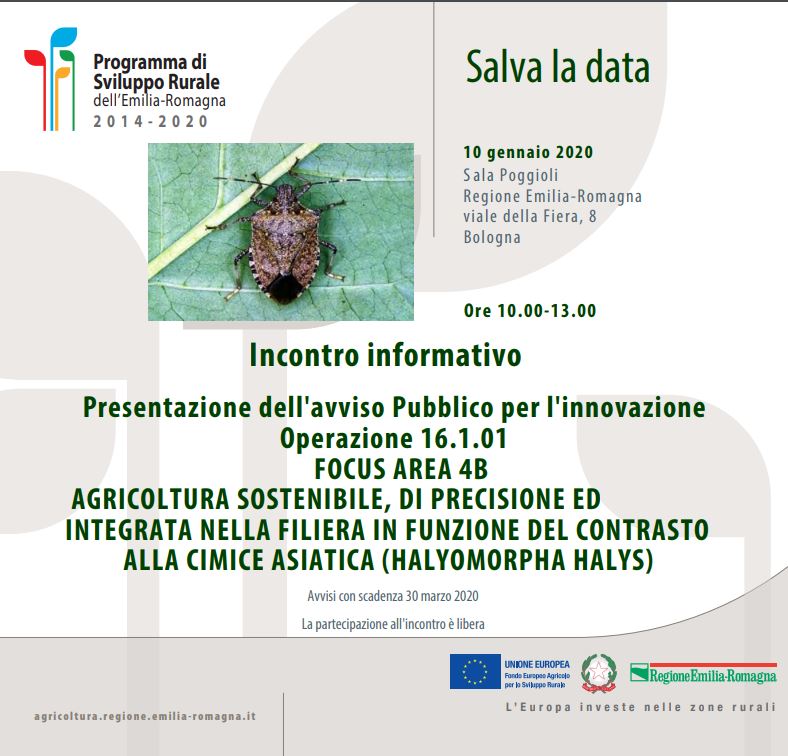 Incontro cimice asiatica bologna 10 gennaio 2020