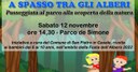 A spasso tra gli alberi