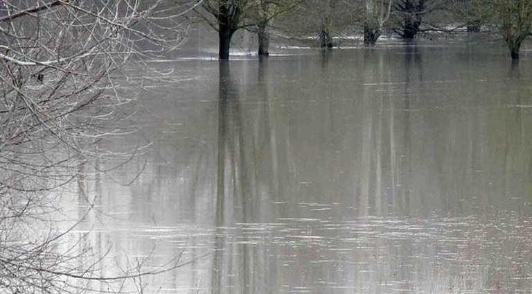 Allerta Meteo 2 febbraio 2019, piena fiume Reno