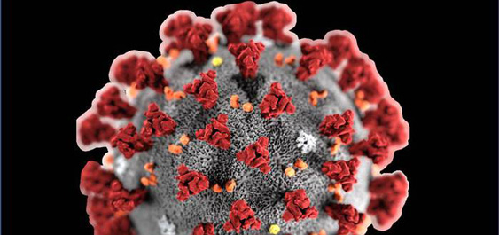 Coronavirus, domande e risposte: cosa c'è da sapere