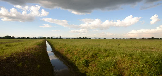 Istanza di concessione di coltivazione per idrocarburi liquidi e gassosi “S. Alberto” – Soc. Po Valley e Northsun Italia