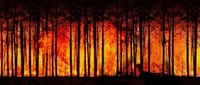 Stato di “grave pericolosità per il rischio incendi boschivi” su tutto il territorio regionale
