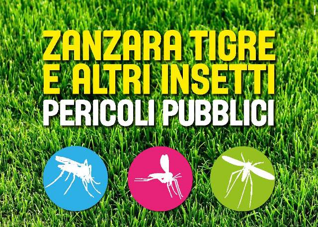 Zanzare tigre e altri insetti: la campagna informativa regionale